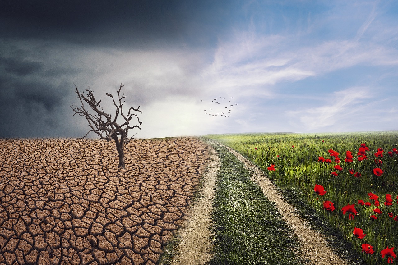 Environmental Issues